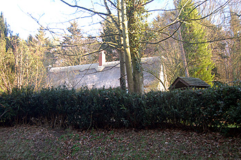 All that can be seen of 38 and 39 The Village from the road February 2012